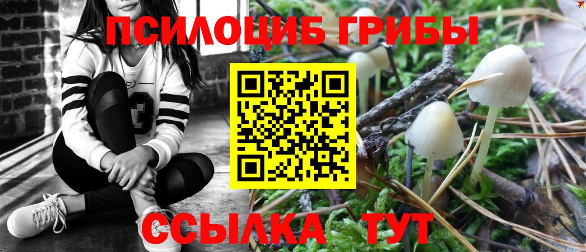 Псилоцибиновые грибы GOLDEN TEACHER  Вход с VPN  Сертолово 